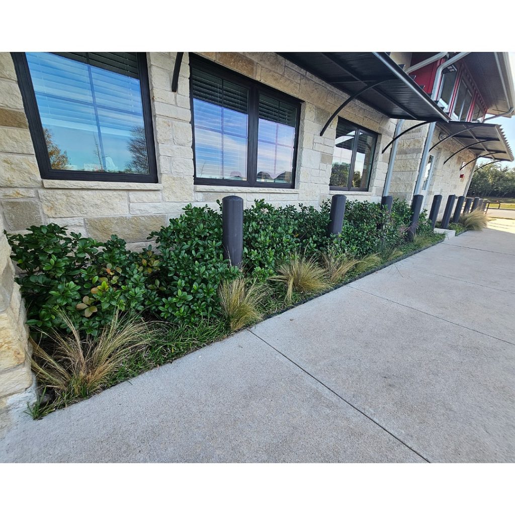 The Goddard School Commercial Landscaping