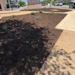 Commercial Landscaping & Hardscaping Services in Austin, TX