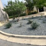 Commercial Landscaping & Hardscaping Services in Austin, TX