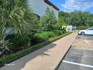 Commercial Landscaping & Hardscaping Services in Austin, TX