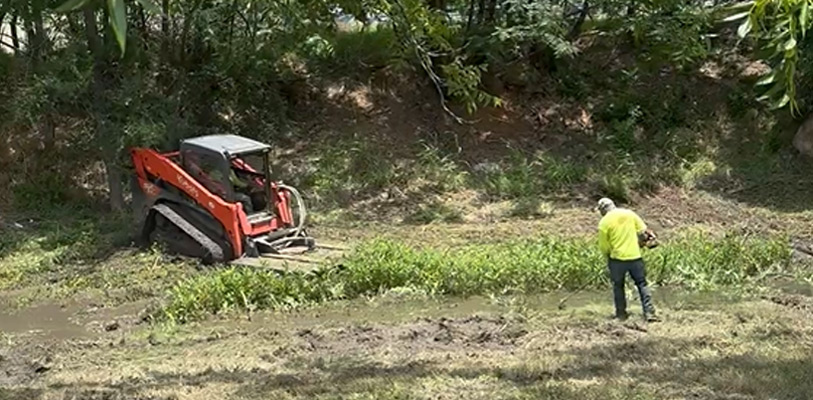 Vegetation Management & Lot Clearing Services